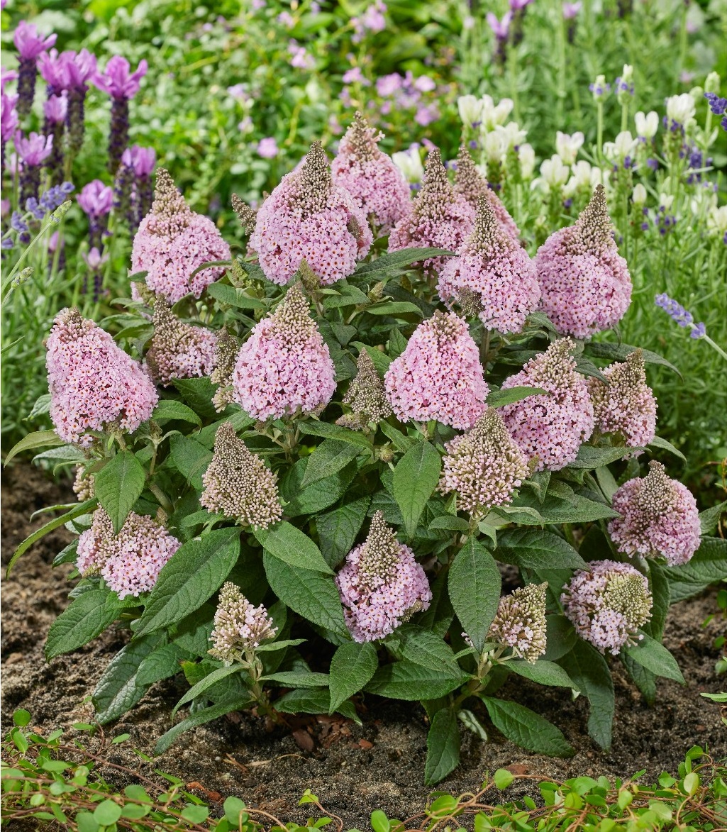 1280